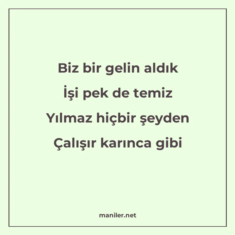 Biz bir gelin aldık İşi pek de temiz Yılmaz hiçbir şeyden Ça manisi görseli