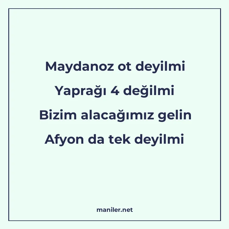 Maydanoz ot deyilmi Yaprağı 4 değilmi Bizim alacağımız gelin manisi görseli