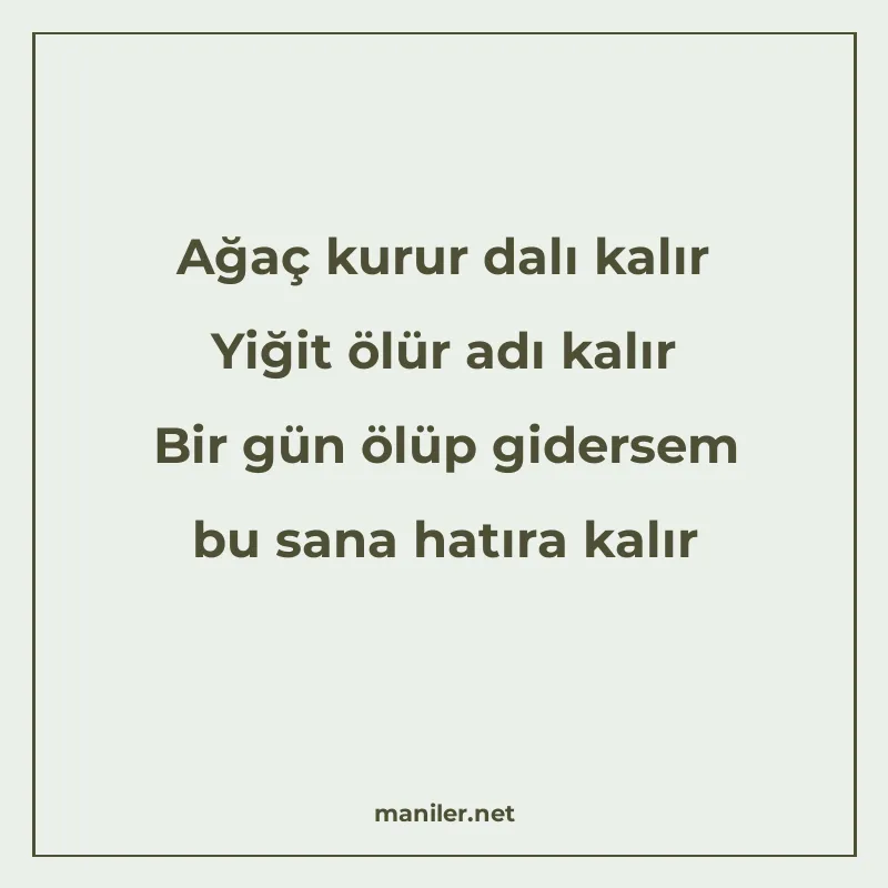 Ağaç kurur dalı kalır Yiğit ölür adı kalır Bir gün ölüp gide manisi görseli