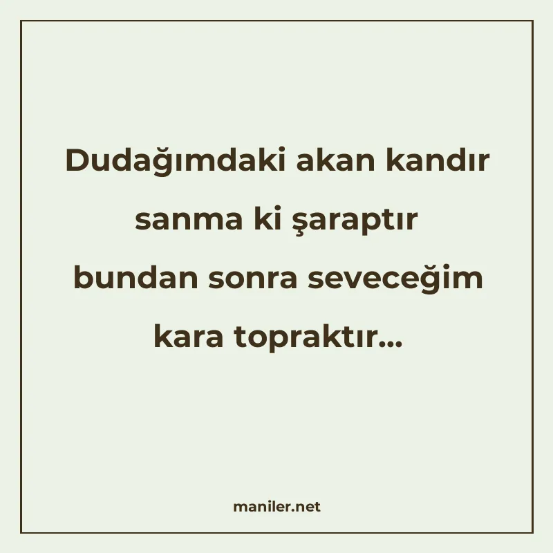 Dudağımdaki akan kandır sanma ki şaraptır bundan sonra sevec manisi görseli