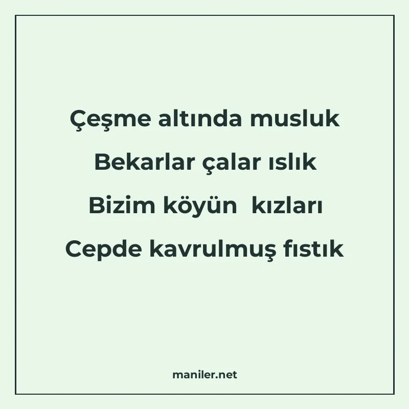 Çeşme altında musluk Bekarlar çalar ıslık Bizim köyün kızlar manisi görseli