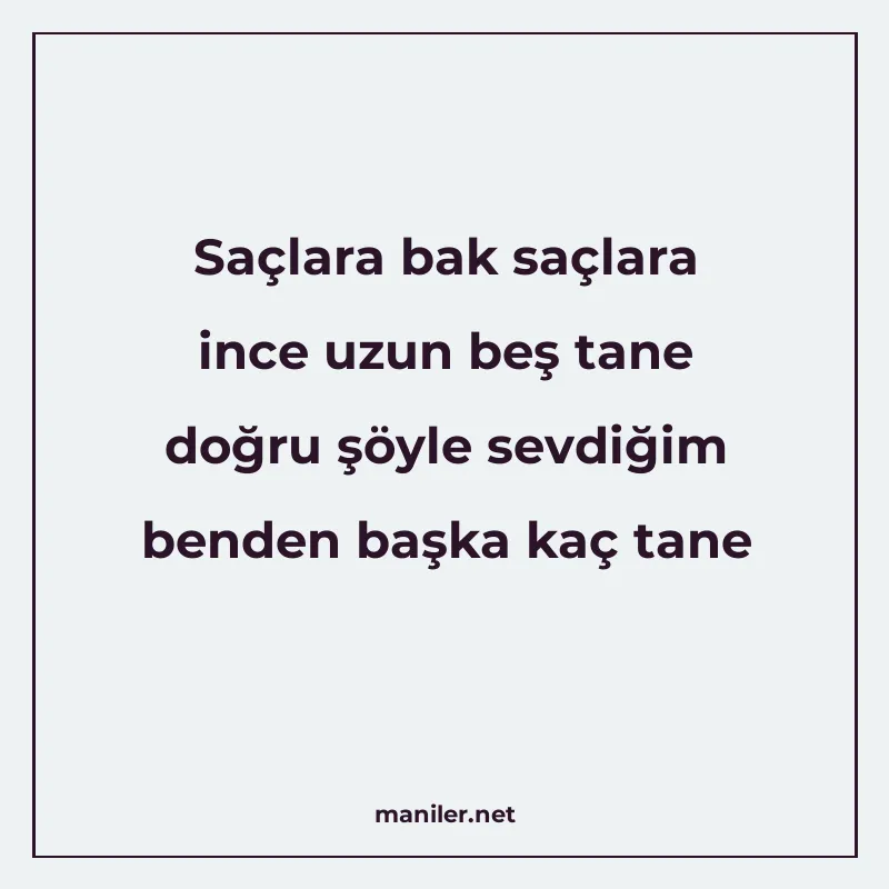 Saçlara bak saçlara ince uzun beş tane doğru şöyle sevdiğim manisi görseli