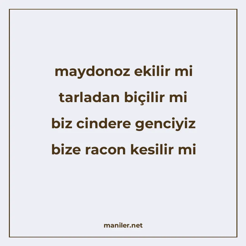 maydonoz ekilir mi tarladan biçilir mi biz cindere genciyiz manisi görseli