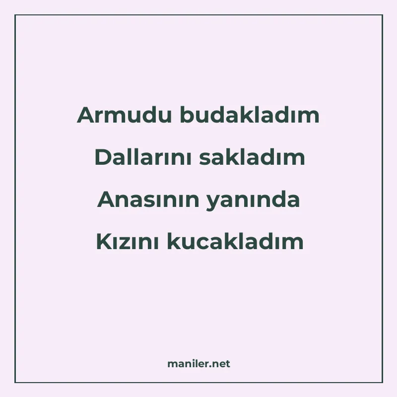 Armudu budakladım Dallarını sakladım Anasının yanında Kızını manisi görseli