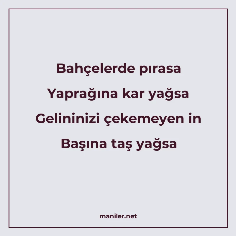 Bahçelerde pırasa Yaprağına kar yağsa Gelininizi çekemeyen i manisi görseli