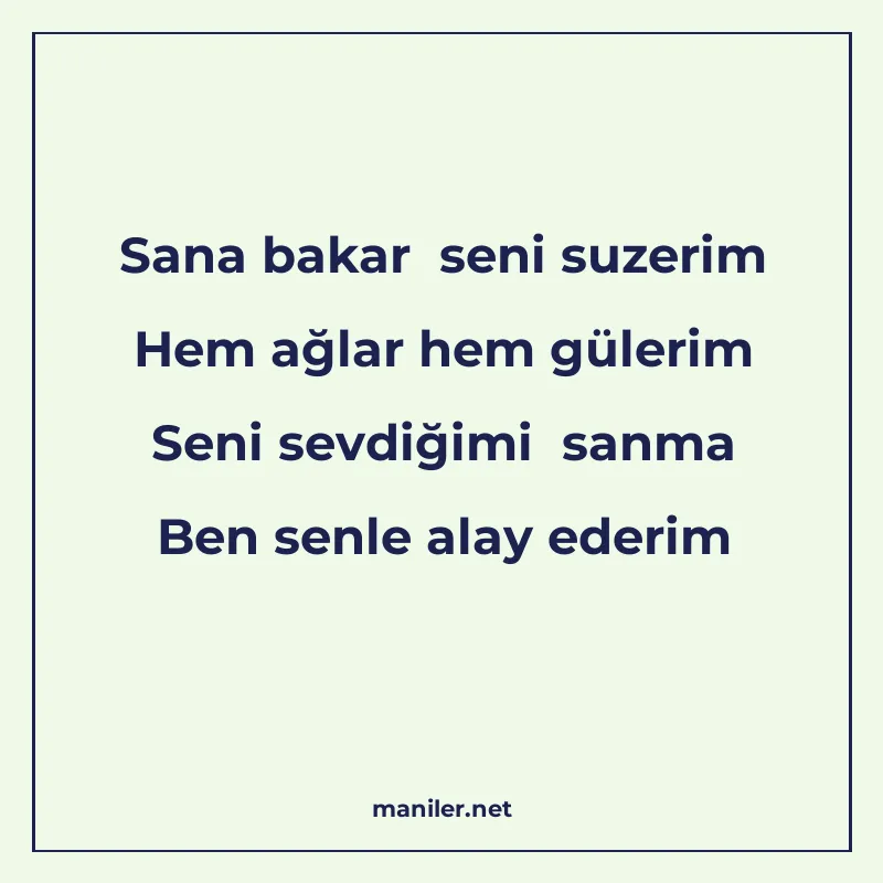 Sana bakar seni suzerim Hem ağlar hem gülerim Seni sevdiğimi manisi görseli