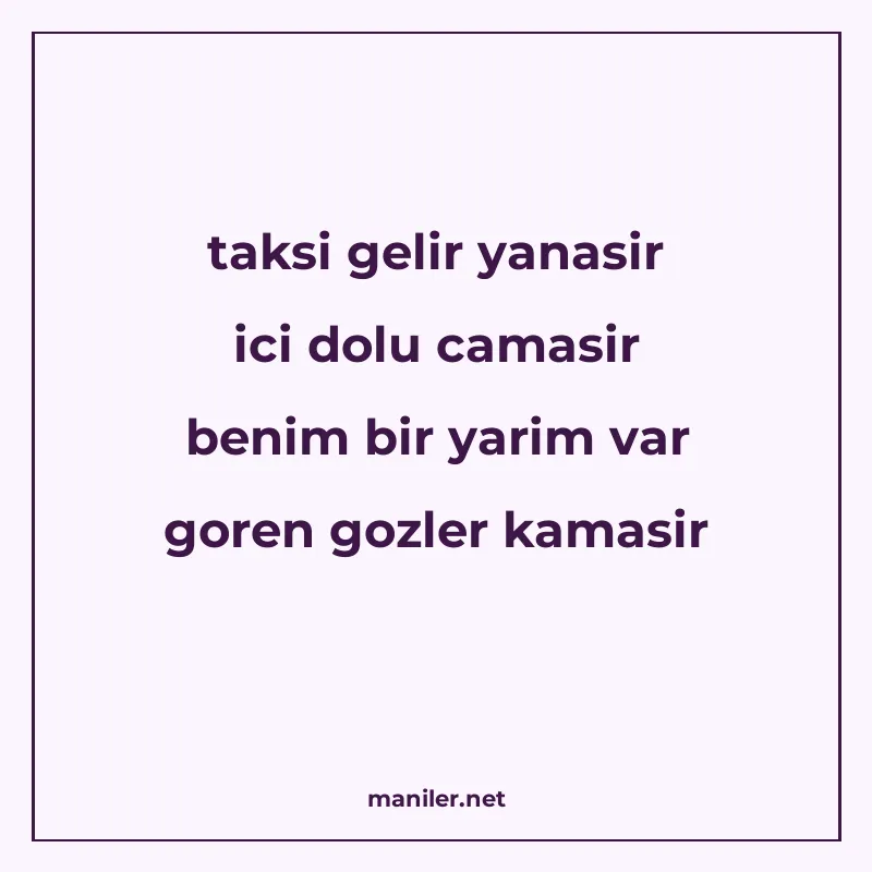 taksi gelir yanasir ici dolu camasir benim bir yarim var gor manisi görseli