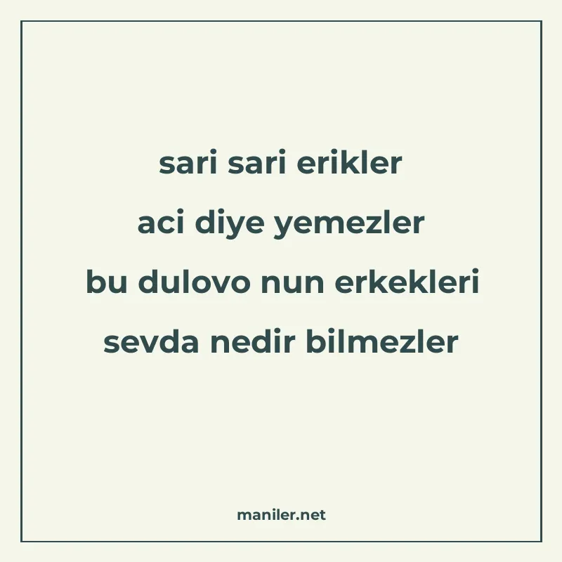 sari sari erikler aci diye yemezler bu dulovo nun erkekleri manisi görseli