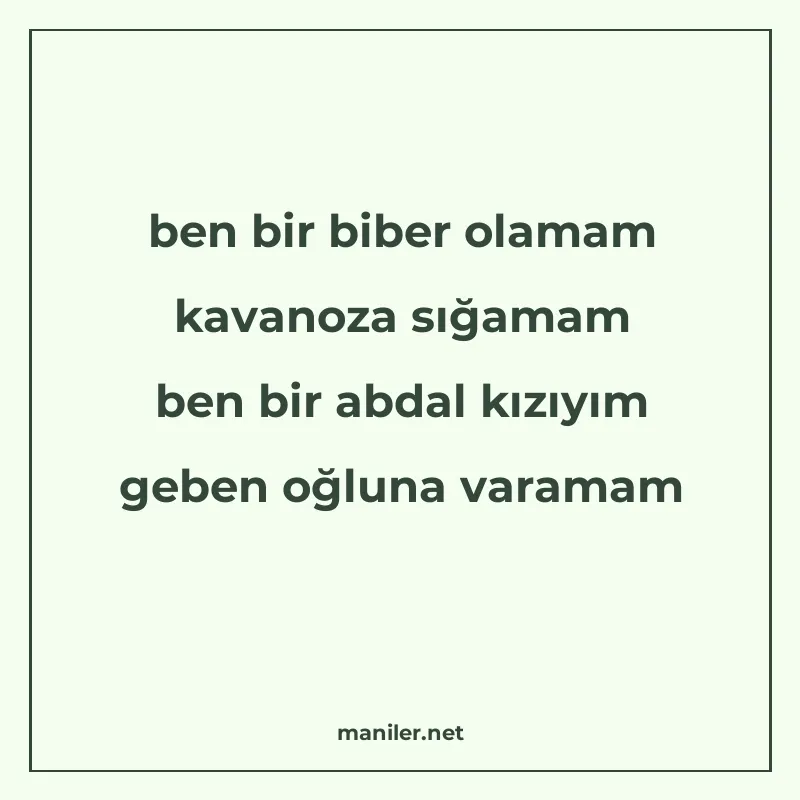 ben bir biber olamam kavanoza sığamam ben bir abdal kızıyım manisi görseli