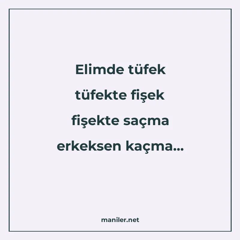 Elimde tüfek tüfekte fişek fişekte saçma erkeksen kaçma manisi görseli