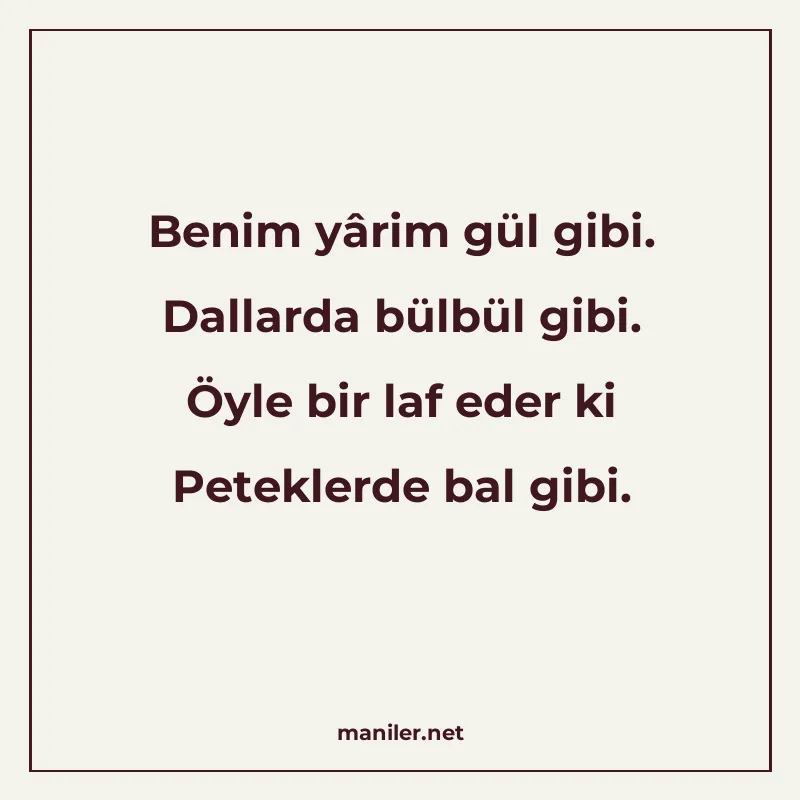 Benim yârim gül gibi. Dallarda bülbül gibi. Öyle bir laf ede manisi görseli