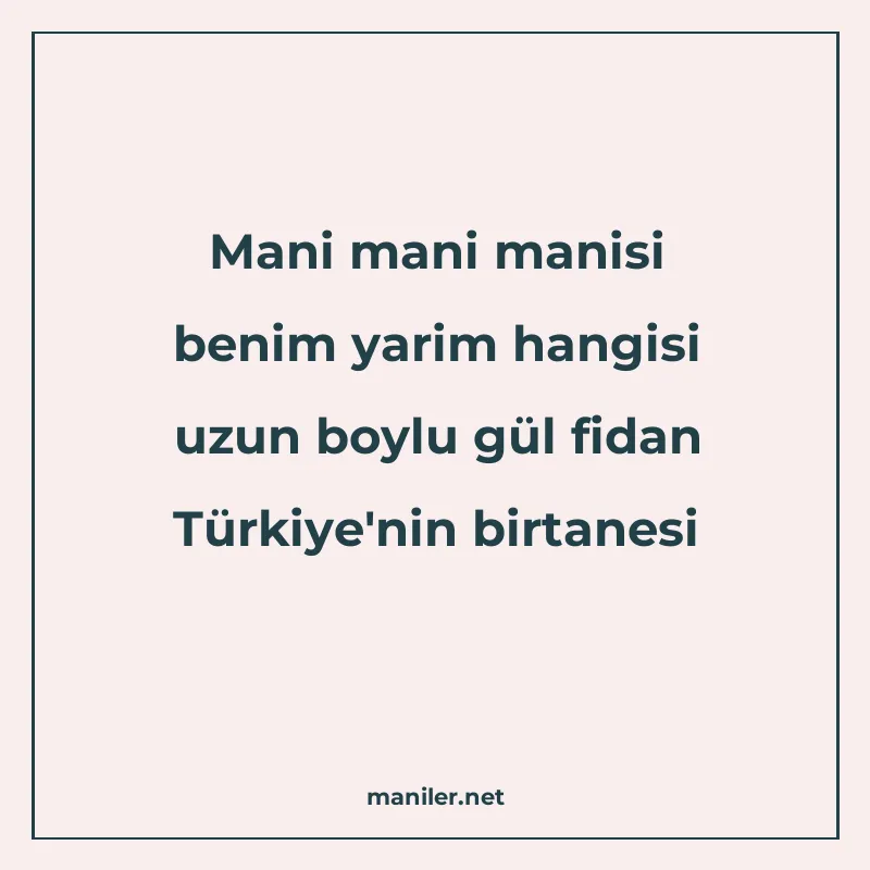 Mani mani manisi benim yarim hangisi uzun boylu gül fidan Tü manisi görseli