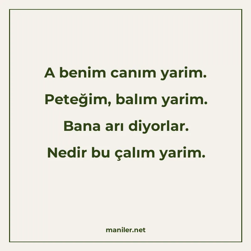 A benim canım yarim. Peteğim, balım yarim. Bana arı diyorlar manisi görseli
