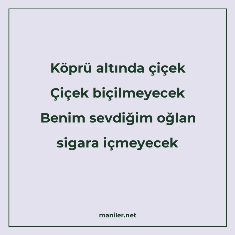 Köprü altında çiçek Çiçek biçilmeyecek Benim sevdiğim oğlan manisi görseli