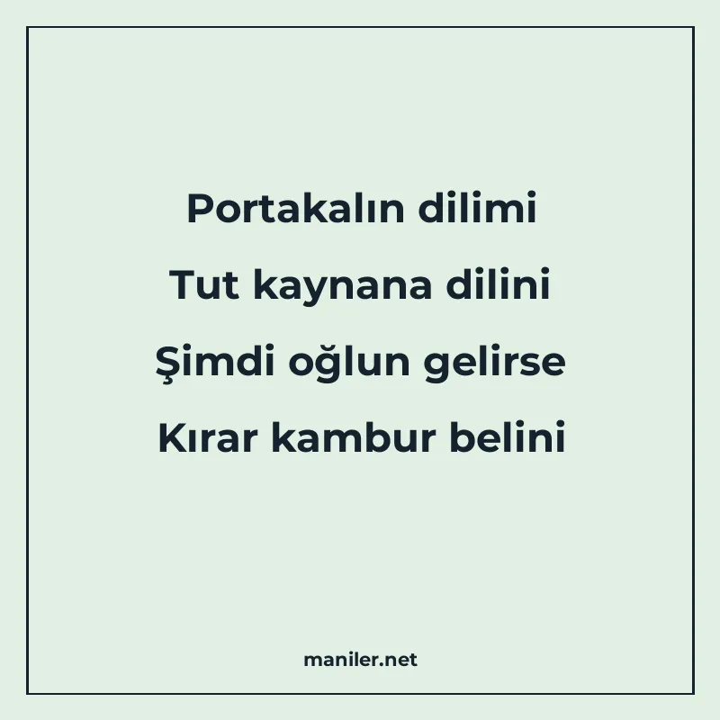 Portakalın dilimi Tut kaynana dilini Şimdi oğlun gelirse Kır manisi görseli