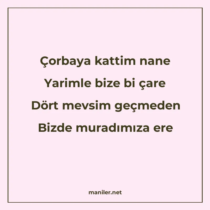 Çorbaya kattim nane Yarimle bize bi çare Dört mevsim geçmede