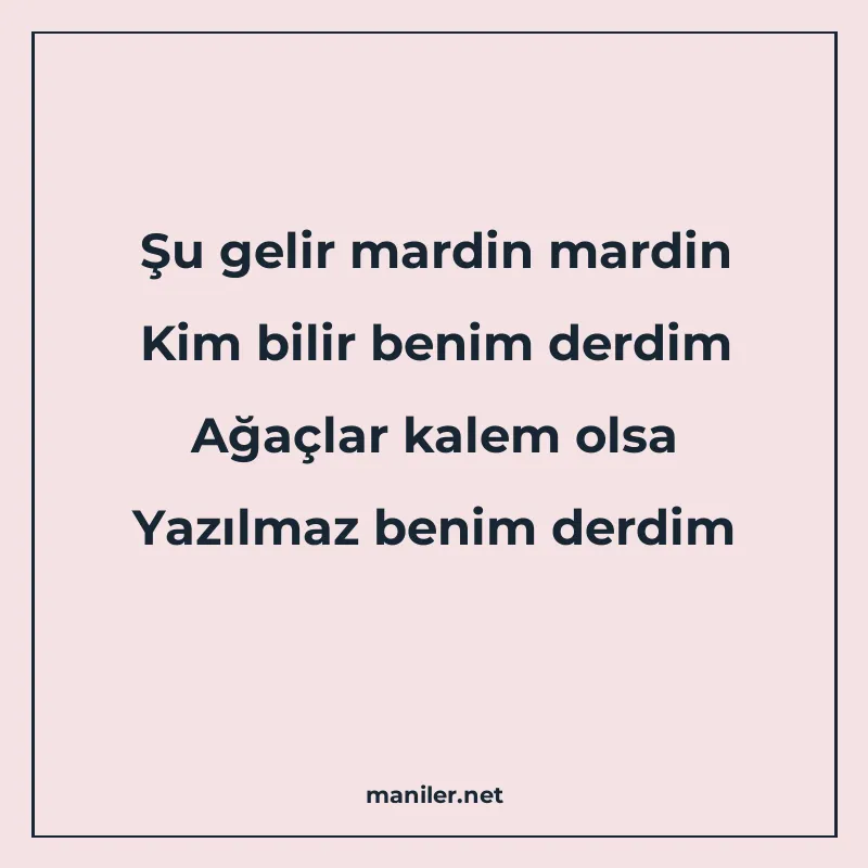 Şu gelir mardin mardin Kim bilir benim derdim Ağaçlar kalem