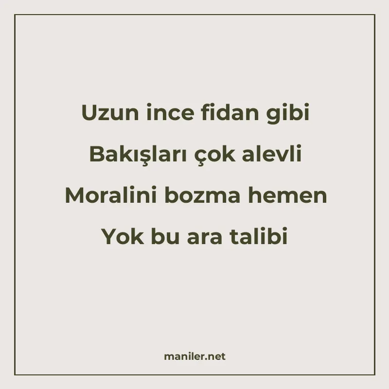 Uzun ince fidan gibi Bakışları çok alevli Moralini bozma hem manisi görseli