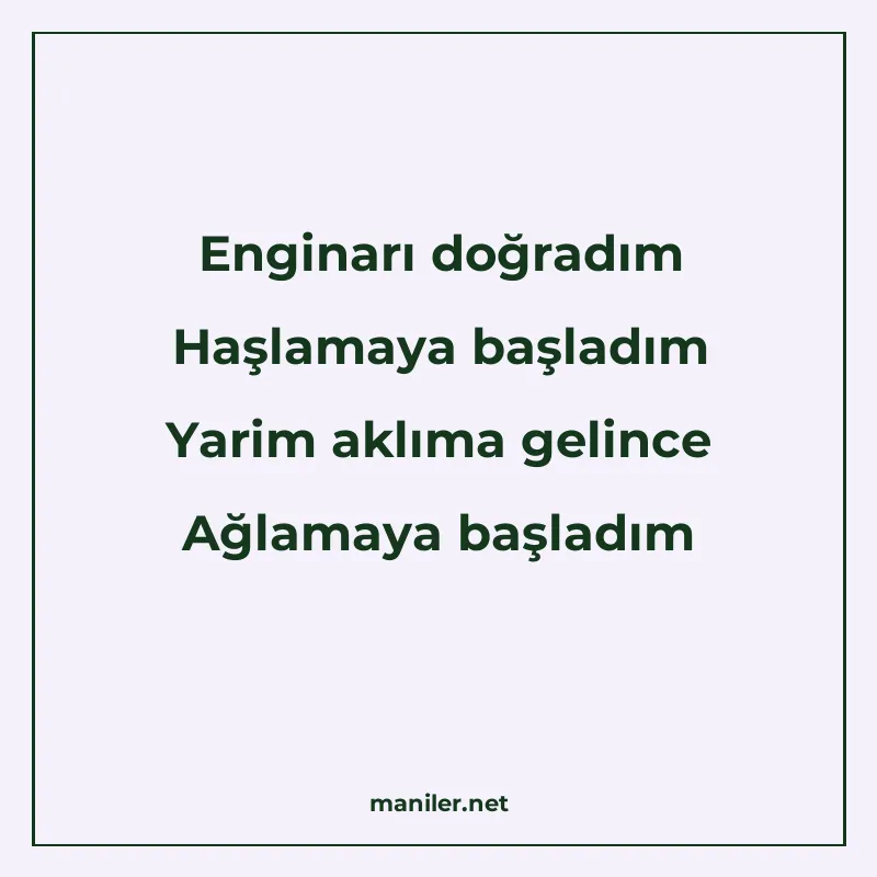 Enginarı doğradım Haşlamaya başladım Yarim aklıma gelince Ağ manisi görseli