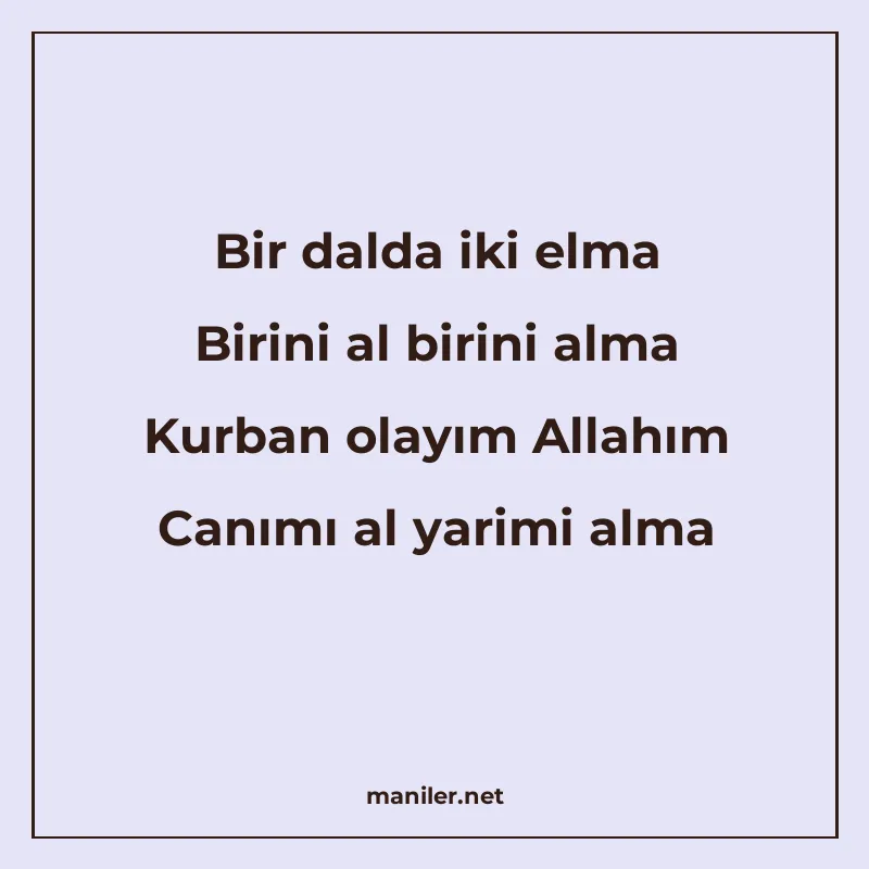 Bir dalda iki elma Birini al birini alma Kurban olayım Allah manisi görseli
