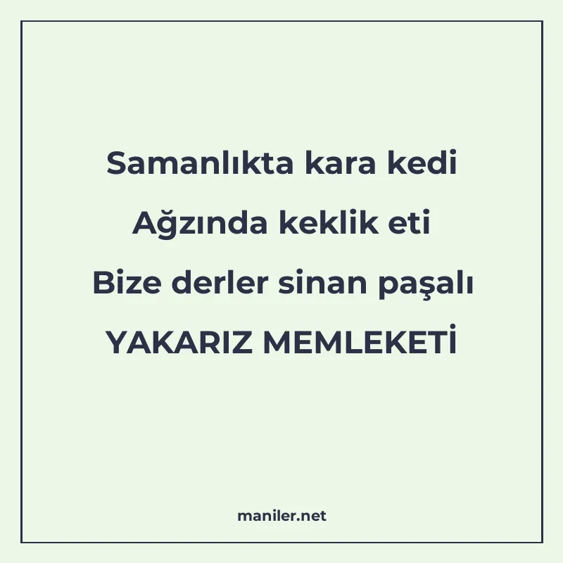 Samanlıkta kara kedi Ağzında keklik eti Bize derler sinan pa manisi görseli