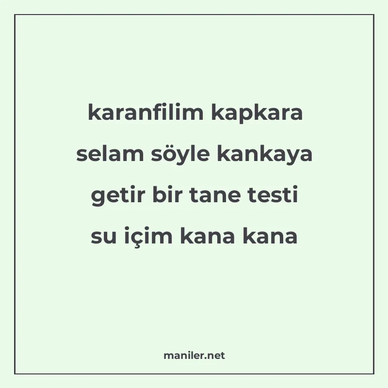 karanfilim kapkara selam söyle kankaya getir bir tane testi manisi görseli