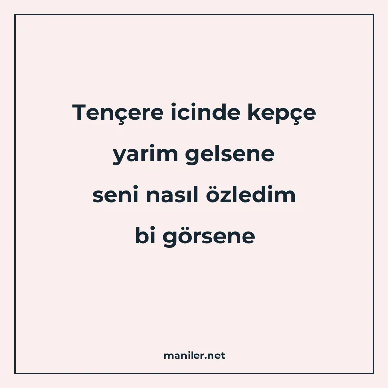 Tençere icinde kepçe yarim gelsene seni nasıl özledim bi gör manisi görseli