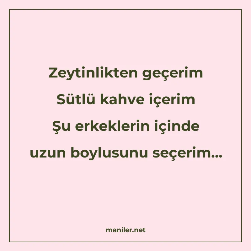 Zeytinlikten geçerim Sütlü kahve içerim Şu erkeklerin içinde manisi görseli