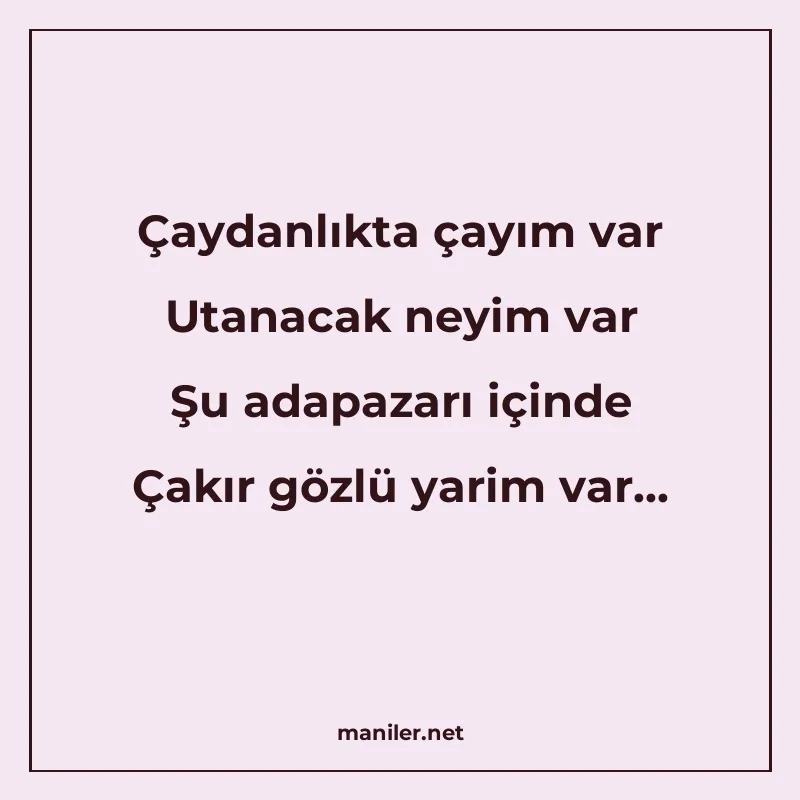 Çaydanlıkta çayım var Utanacak neyim var Şu adapazarı içinde manisi görseli