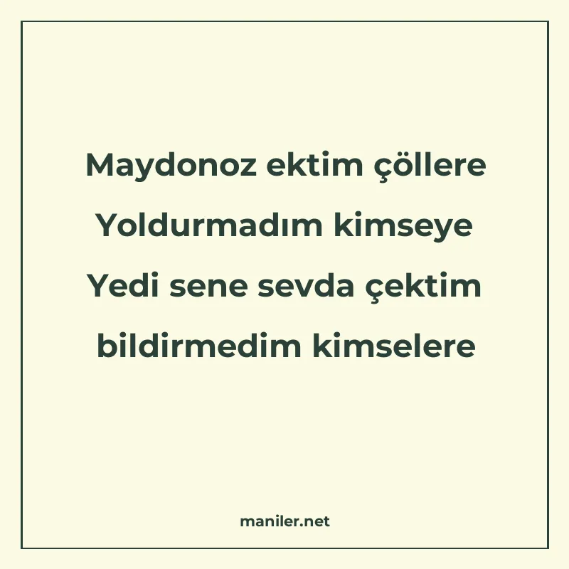Maydonoz ektim çöllere Yoldurmadım kimseye Yedi sene sevda ç manisi görseli