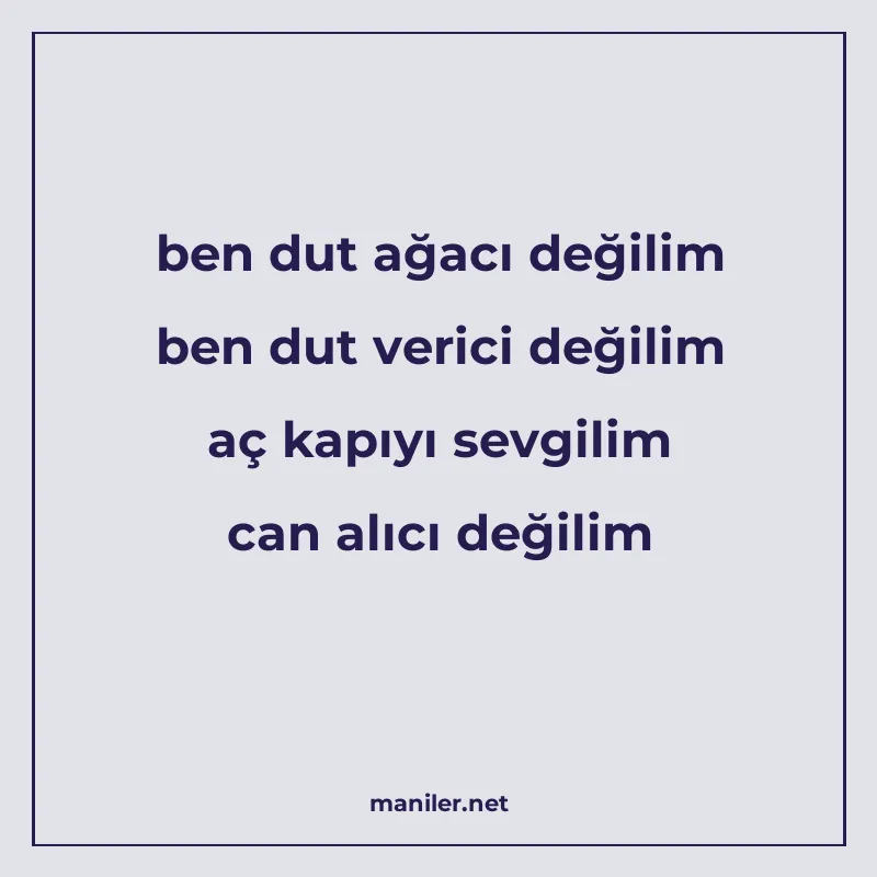 ben dut ağacı değilim ben dut verici değilim aç kapıyı sevgi manisi görseli