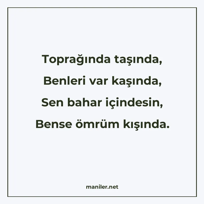 Toprağında taşında, Benleri var kaşında, Sen bahar içindesin manisi görseli