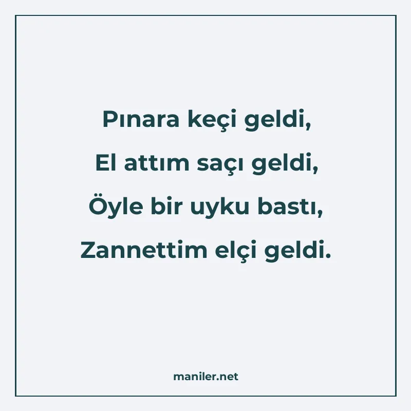 Pınara keçi geldi, El attım saçı geldi, Öyle bir uyku bastı manisi görseli