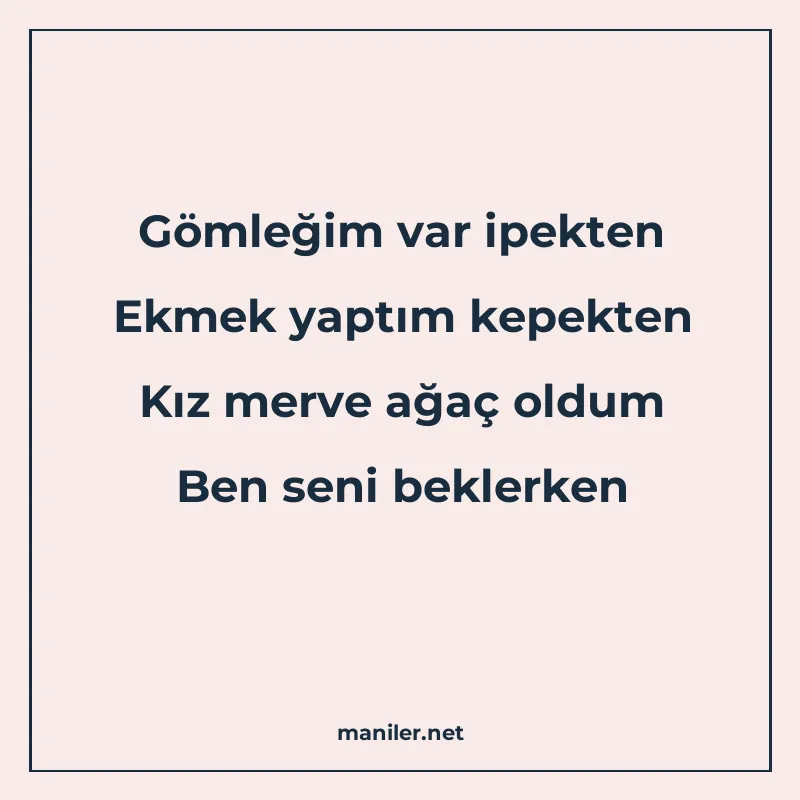 Gömleğim var ipekten Ekmek yaptım kepekten Kız merve ağaç ol manisi görseli