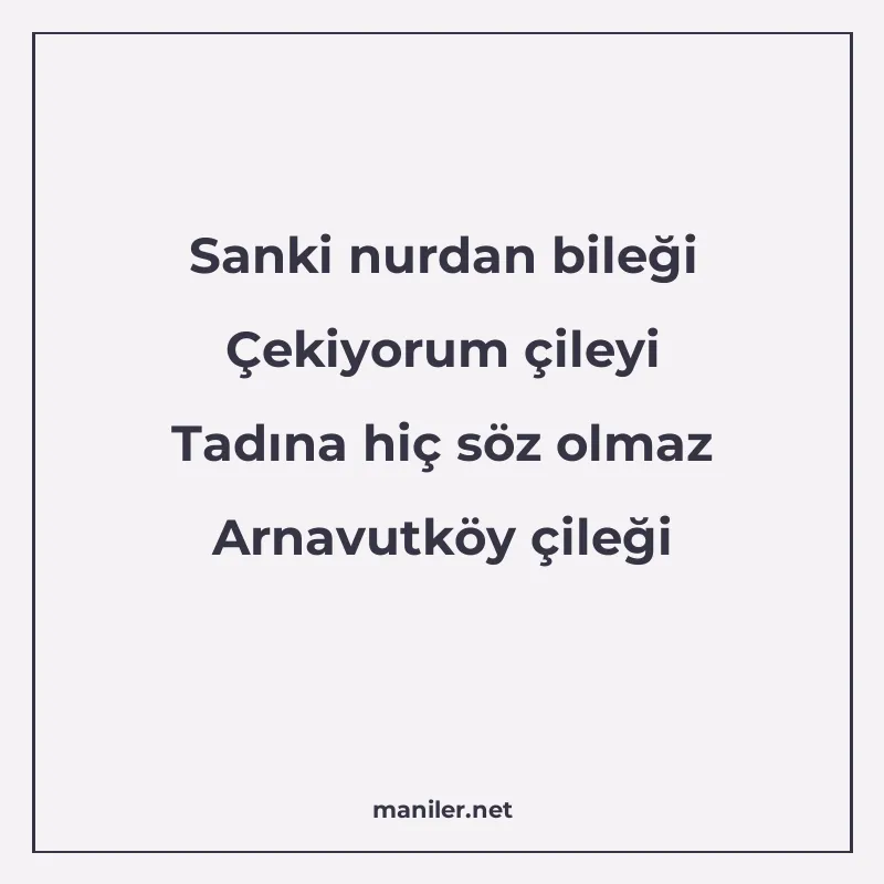 Sanki nurdan bileği Çekiyorum çileyi Tadına hiç söz olmaz Ar manisi görseli