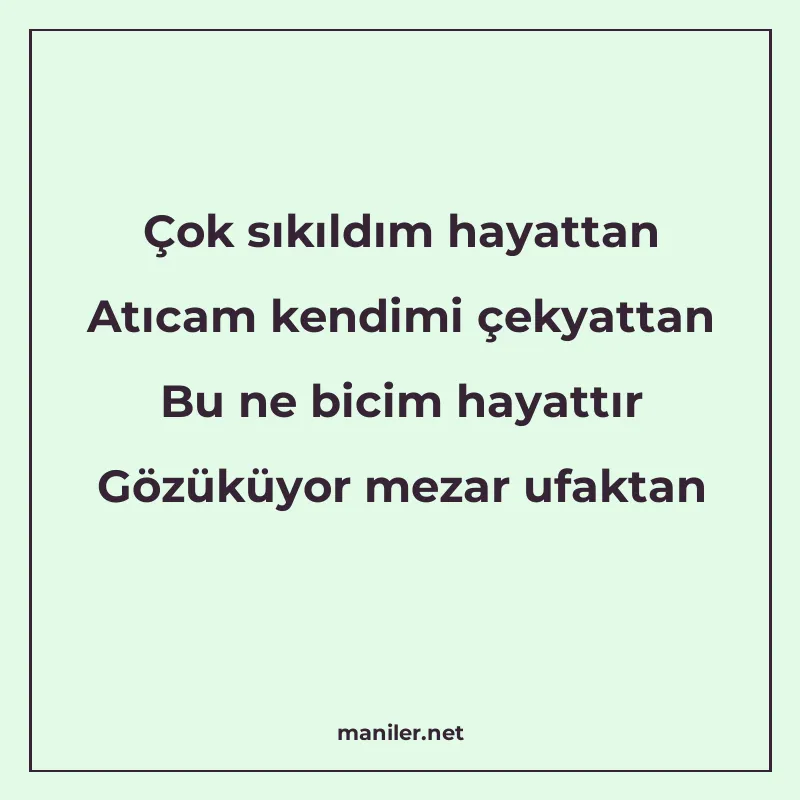 Çok sıkıldım hayattan Atıcam kendimi çekyattan Bu ne bicim h manisi görseli