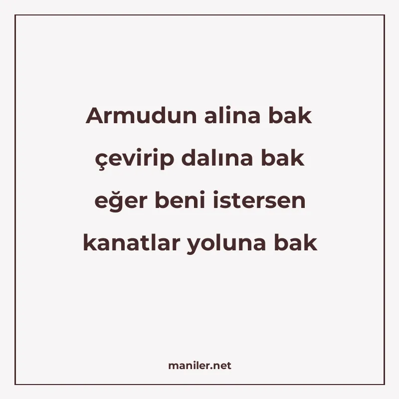 Armudun alina bak çevirip dalına bak eğer beni istersen kana manisi görseli