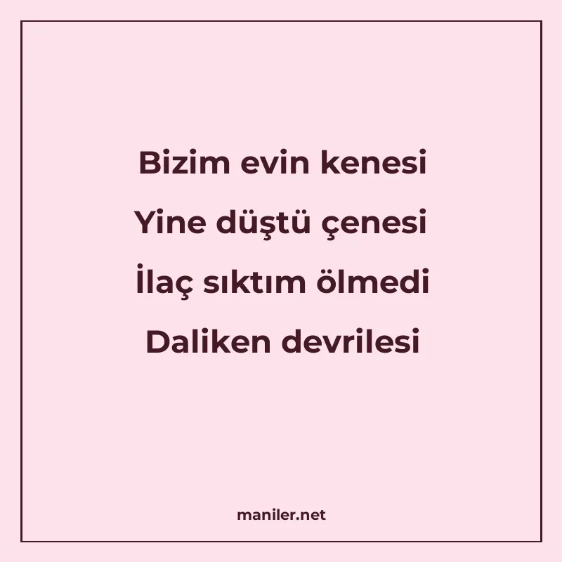 Bizim evin kenesi Yine düştü çenesi İlaç sıktım ölmedi Dalik manisi görseli