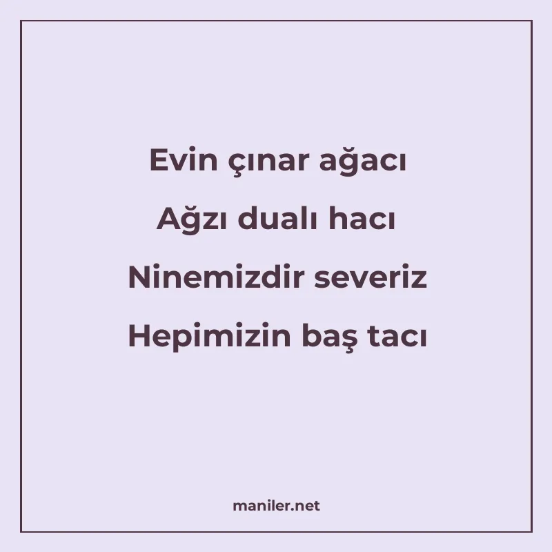 Evin çınar ağacı Ağzı dualı hacı Ninemizdir severiz Hepimizi manisi görseli