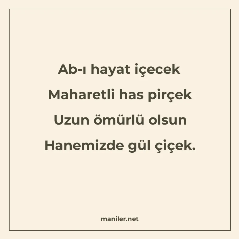 Ab-ı hayat içecek Maharetli has pirçek Uzun ömürlü olsun Han manisi görseli