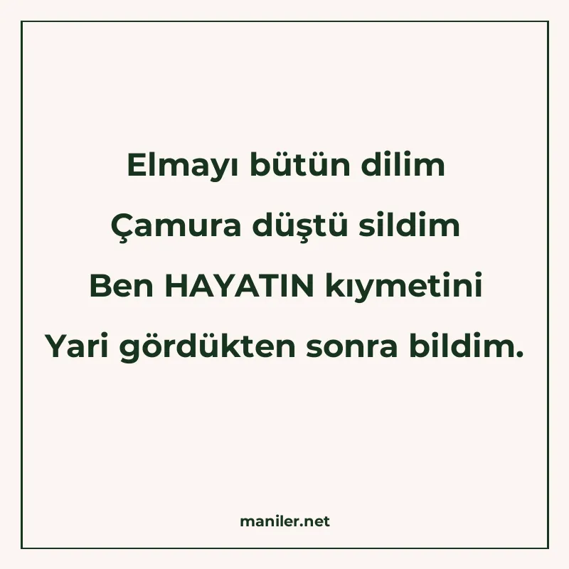Elmayı bütün dilim Çamura düştü sildim Ben HAYATIN kıymetini manisi görseli