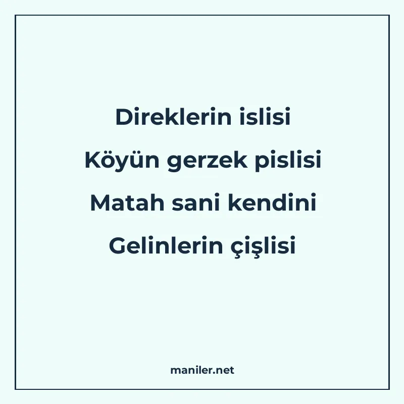 Direklerin islisi Köyün gerzek pislisi Matah sani kendini Ge manisi görseli