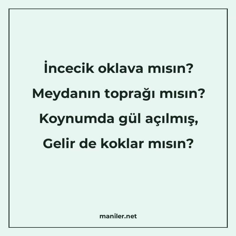 İncecik oklava mısın? Meydanın toprağı mısın? Koynumda gül a manisi görseli