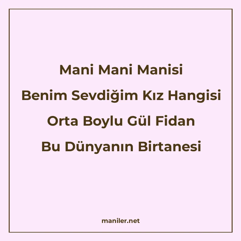 Mani Mani Manisi Benim Sevdiğim Kız Hangisi Orta Boylu Gül F manisi görseli