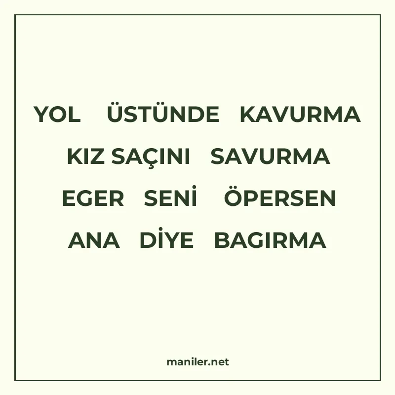 YOL ÜSTÜNDE KAVURMA KIZ SAÇINI SAVURMA EGER SENİ ÖPERSEN ANA manisi görseli