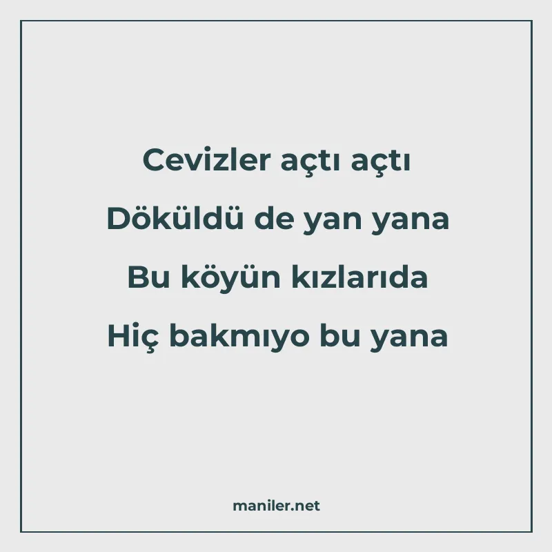 Cevizler açtı açtı Döküldü de yan yana Bu köyün kızlarıda Hi manisi görseli