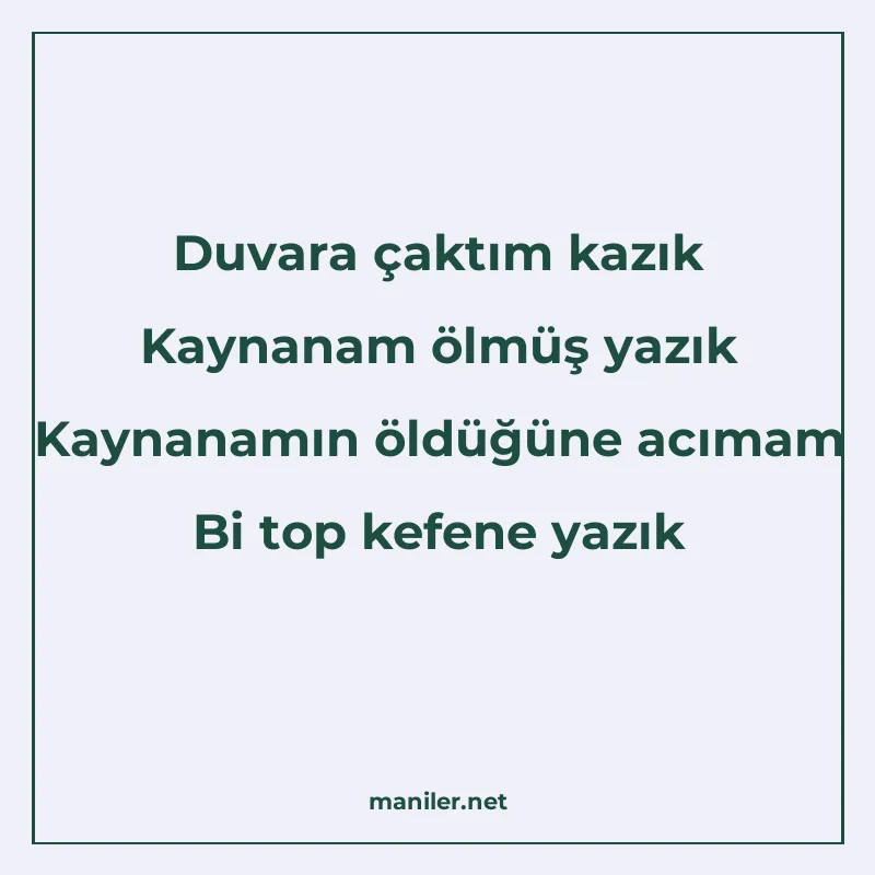 Duvara çaktım kazık Kaynanam ölmüş yazık Kaynanamın öldüğüne manisi görseli