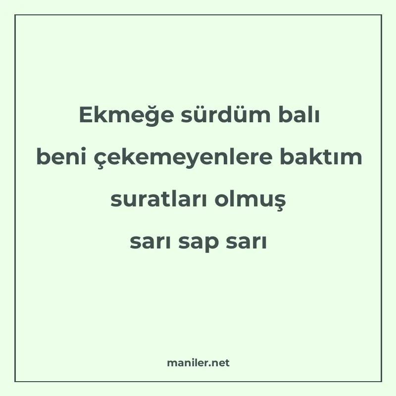 Ekmeğe sürdüm balı beni çekemeyenlere baktım suratları olmuş manisi görseli
