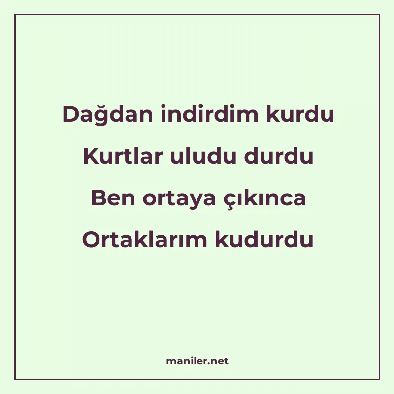 Dağdan indirdim kurdu Kurtlar uludu durdu Ben ortaya çıkınca manisi görseli