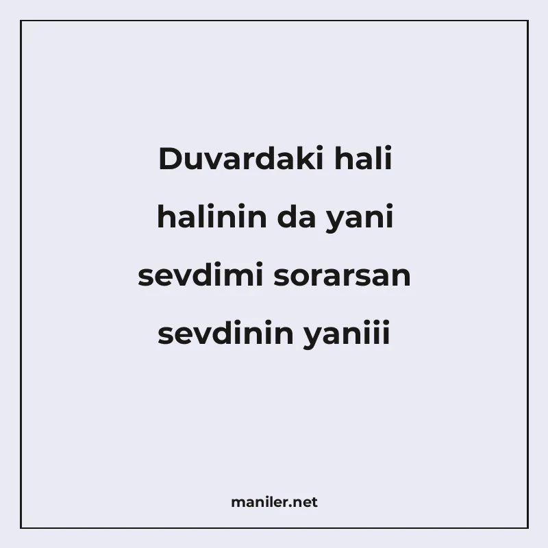 Duvardaki hali halinin da yani sevdimi sorarsan sevdinin yan manisi görseli